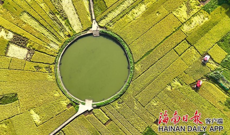 如何挑选适合的农业种植设备?